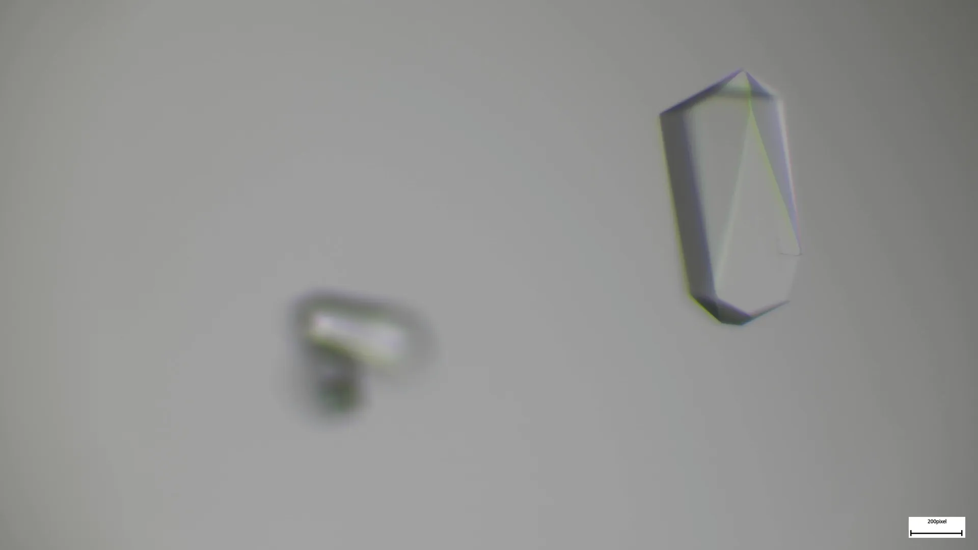 A crystal of protein viewed through the microscope.