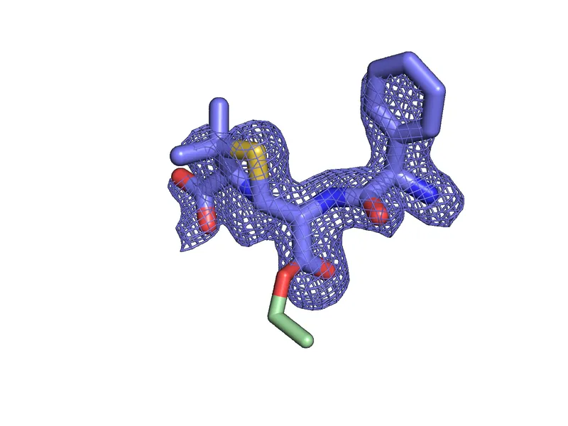 An antibiotic modelled into its electron density in the enzyme active site.