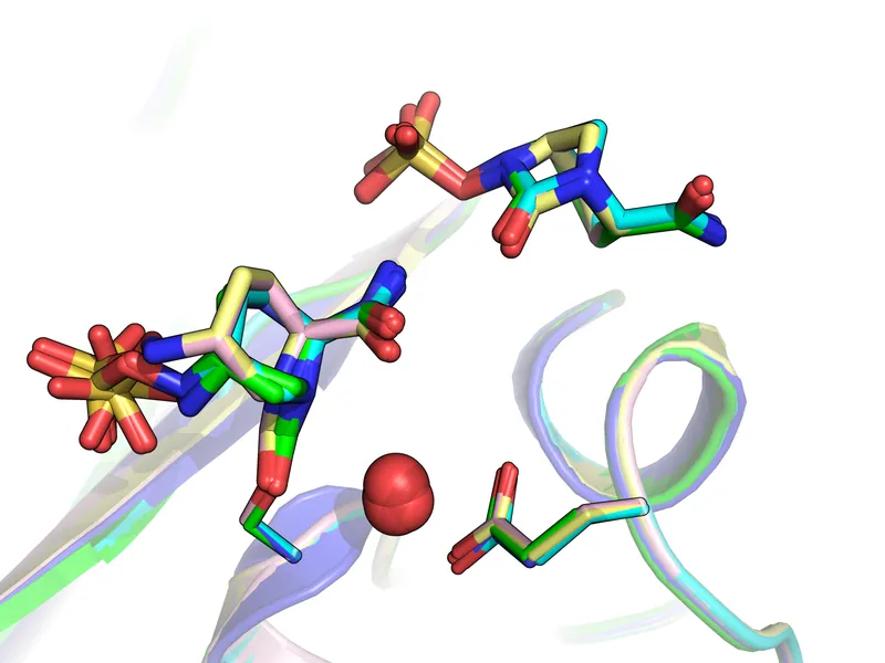 Structures from successive timepoints overlaid, showing the reaction progressing.